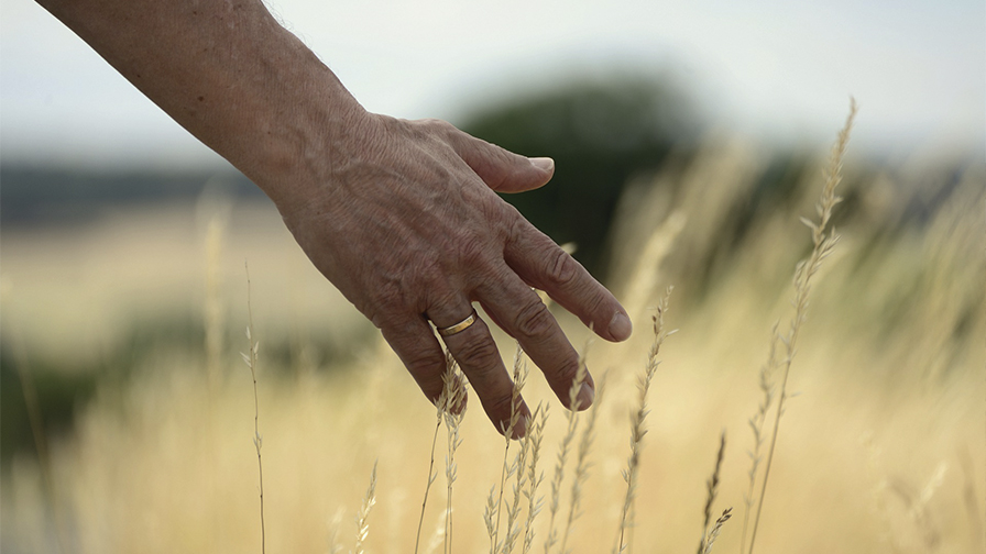 Missao Continente Sobre Nos