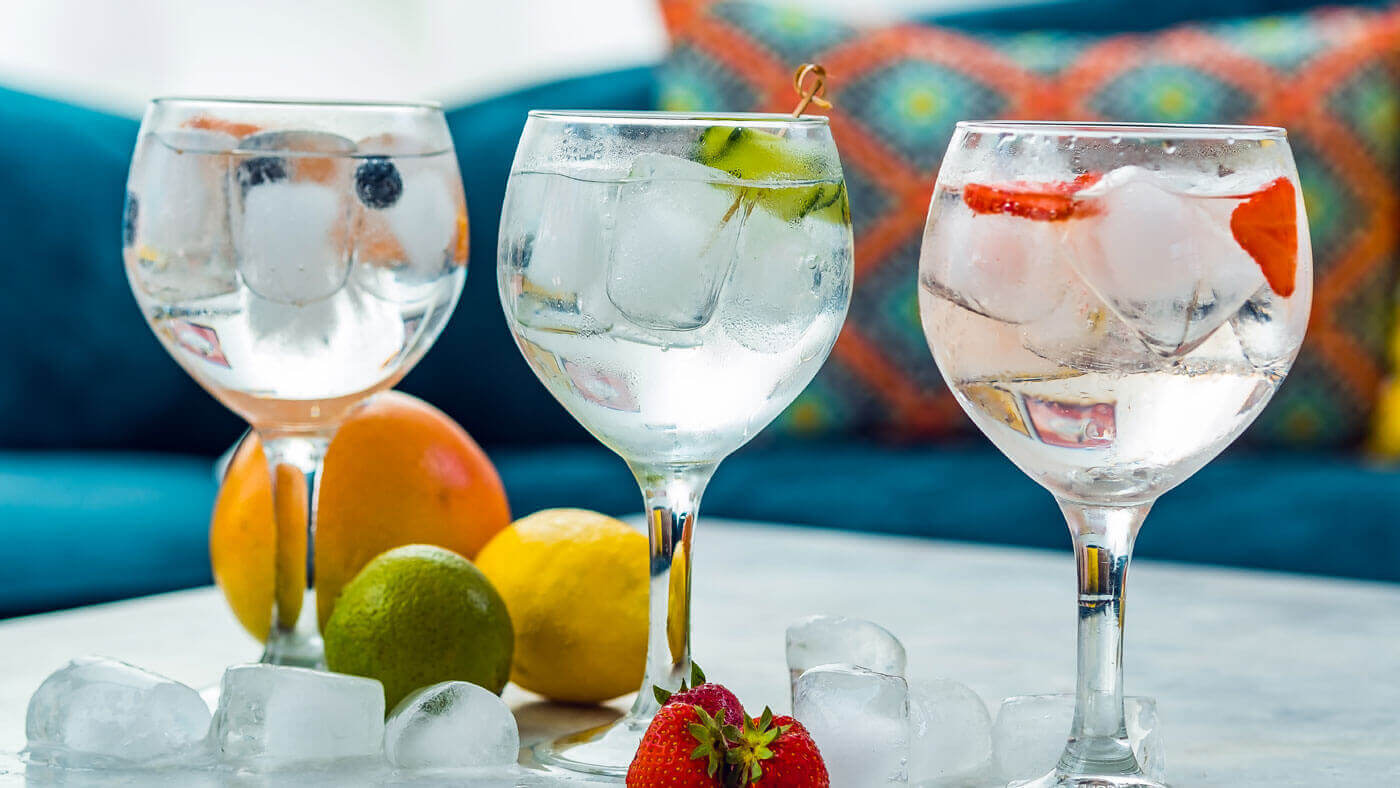 Receitas Gin Tonico