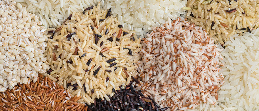 Tipos de arroz para cozinhar