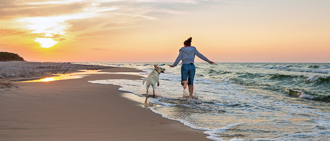 Praias Pet Friendly em Portugal